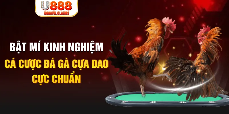 trong baccarat, ai là người chia bài chính？