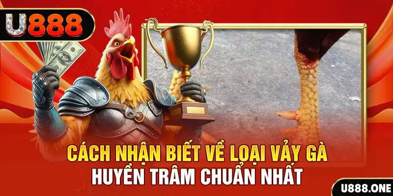 ae 388 Chú hề Patty tuổi teen