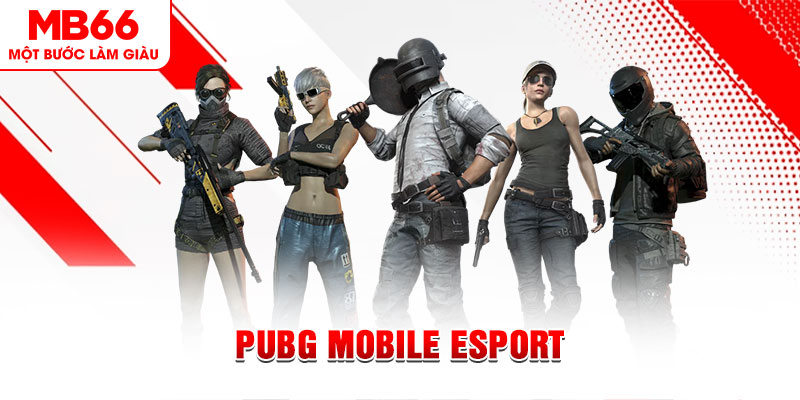 ae 388 gà chọi c1 mới nhất